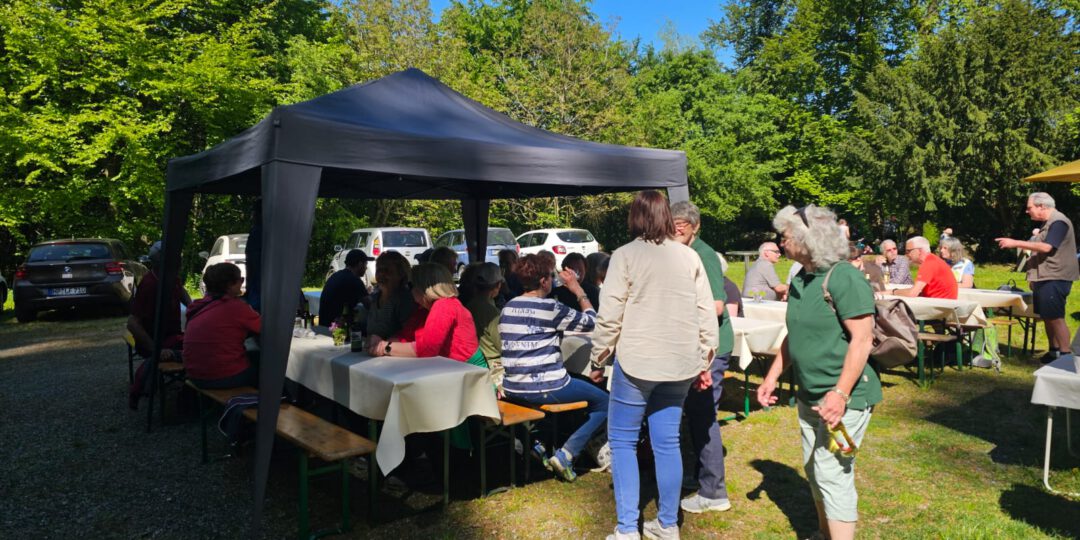 XIMG-20260501-WA0031