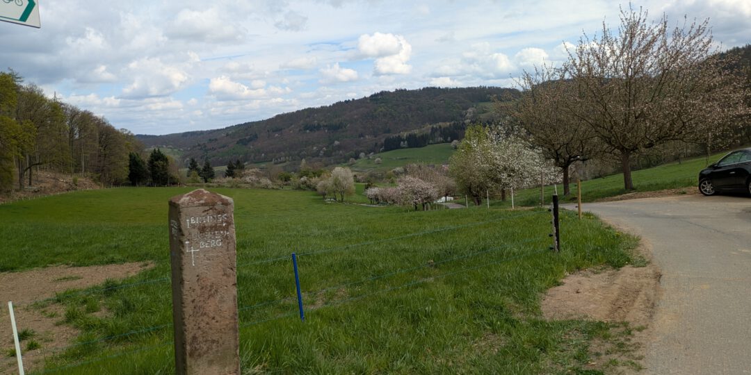 XPXL_20250413_120616220