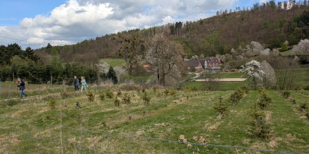 XPXL_20250413_140202208 (1)