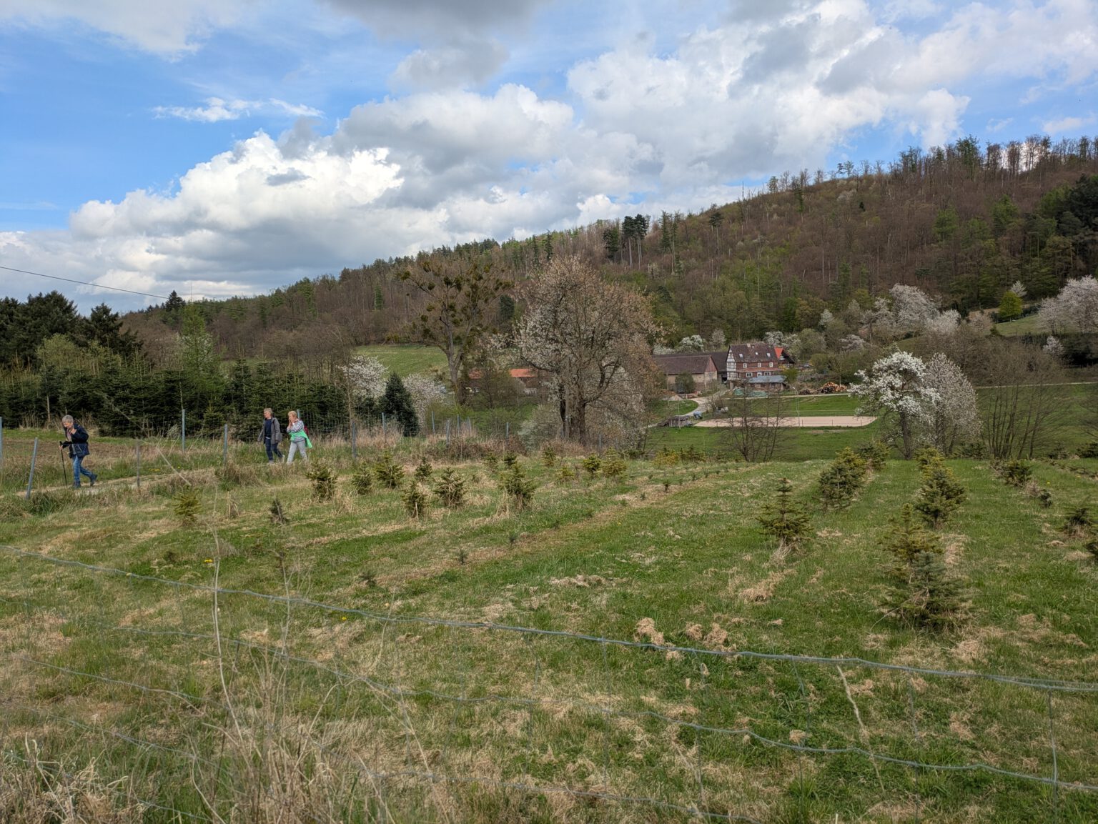 XPXL_20250413_140202208 (1)