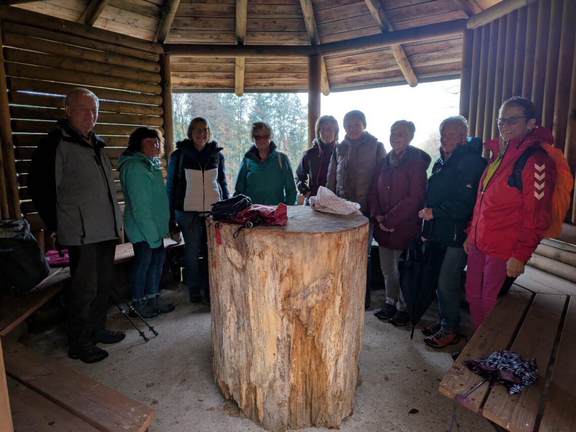 XXPXL_20251109_123444924.MP