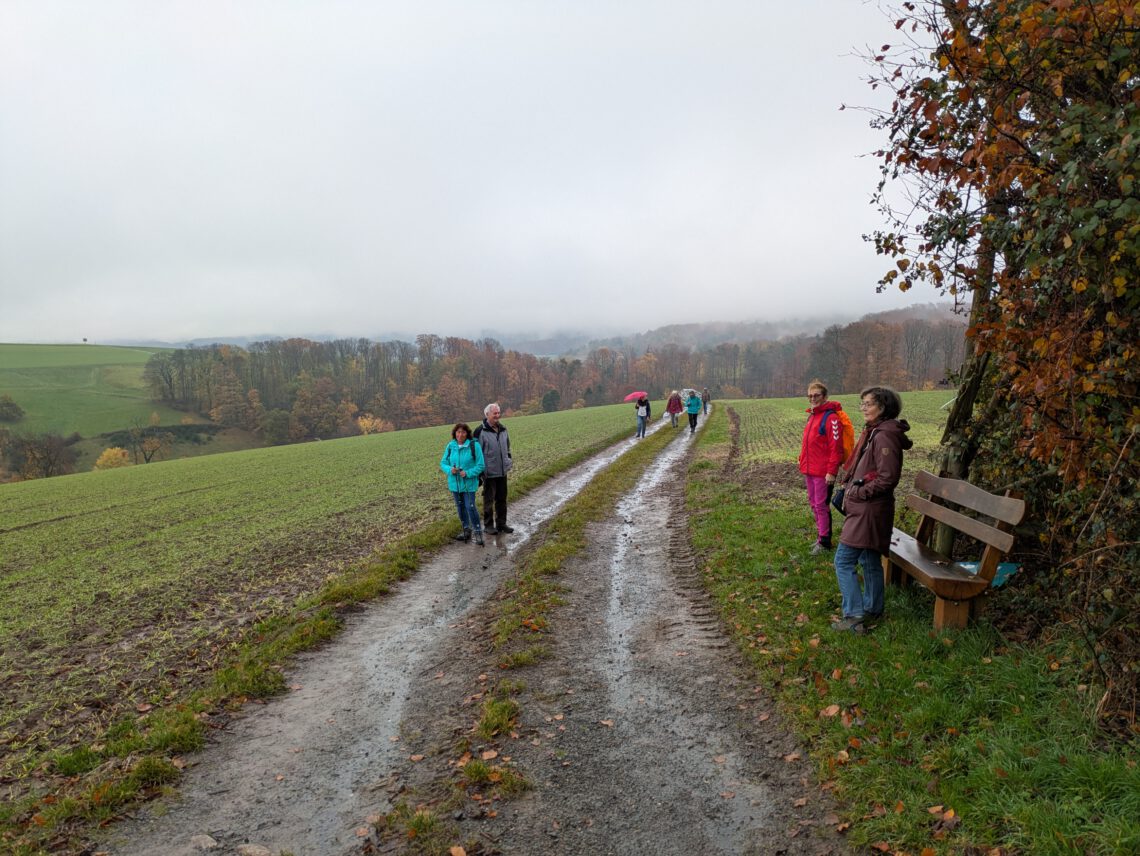 XXPXL_20251109_125700035