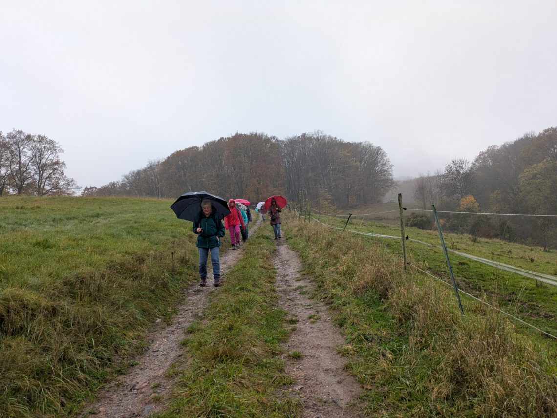 XXPXL_20251109_144245919